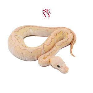 0.1 Cg butter fire pas Clown pos Super Pas 25 16176