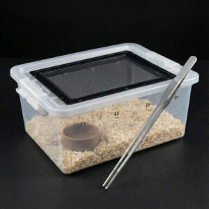 Set Starter เซ็ตเริ่มเลี้ยงงู | กล่องเลี้ยงงูพร้อมฝาตะแกรง + ขี้เลื่อยงู + ฟอเซป 28cm + ถ้วยน้ำ อุปกรณ์เลี้ยงงู