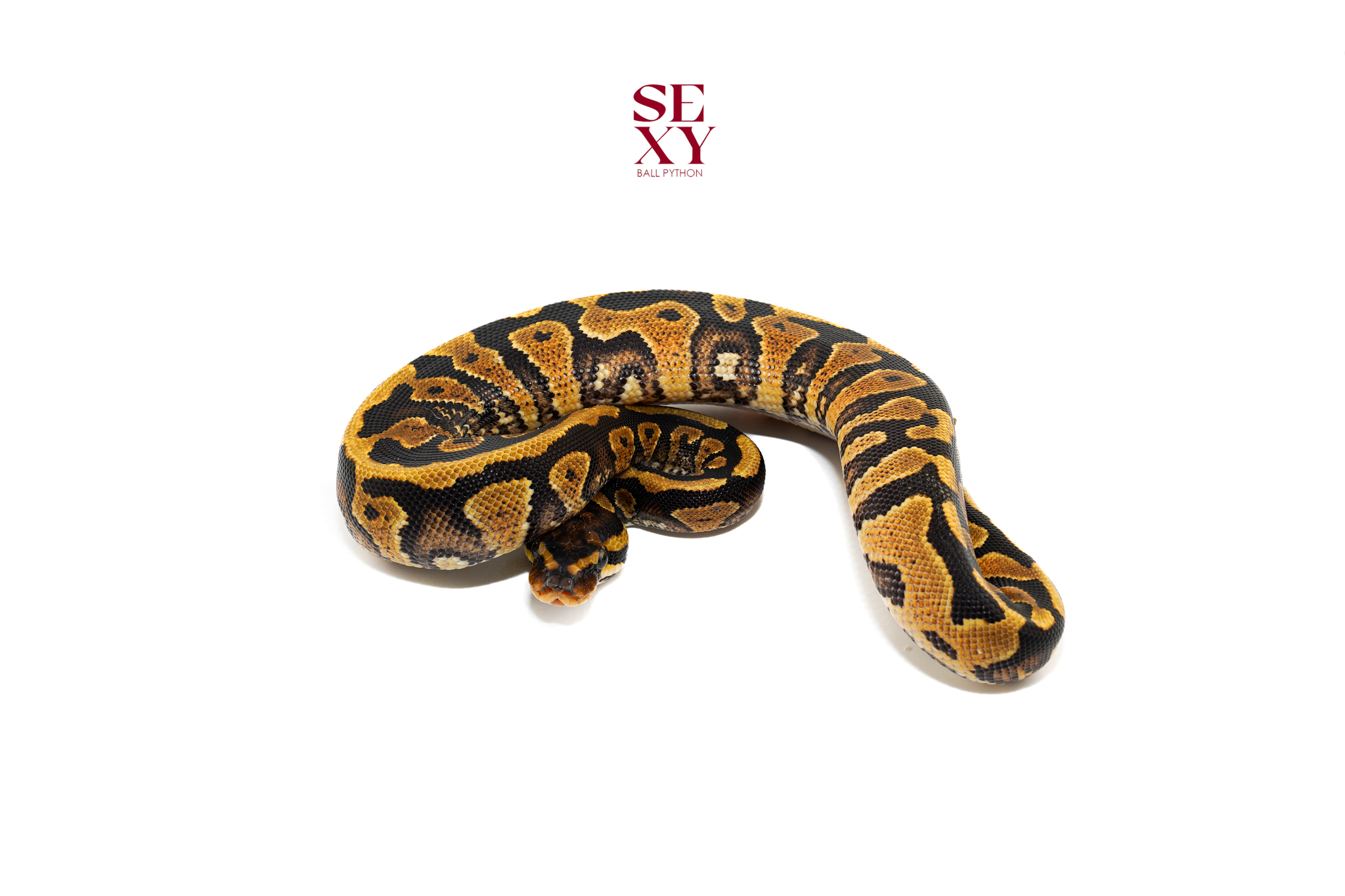 0.1 Asphalt/Gravel/YB H Clown pos H Ghost 25 16406